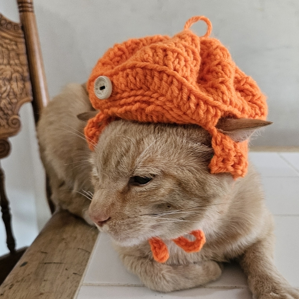 Handmade Halloween Crochet Pumpkin Hat for Cats or Small Dogs – Fall Pet Costume - Picture 15 of 16